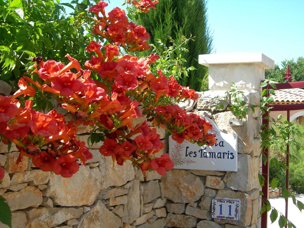 B&B Villa Les Tamaris Régusse Exteriör bild